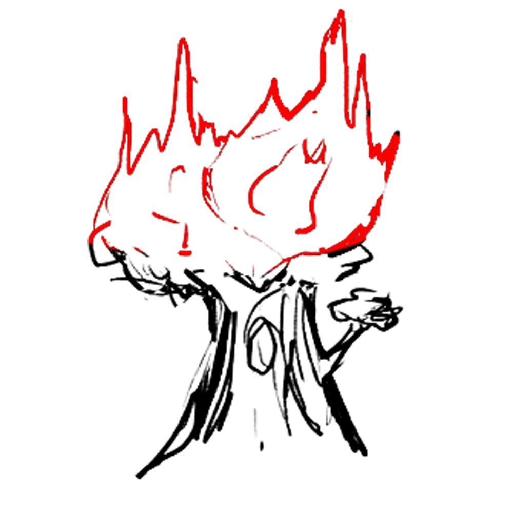 Burning forest in Kalimantan